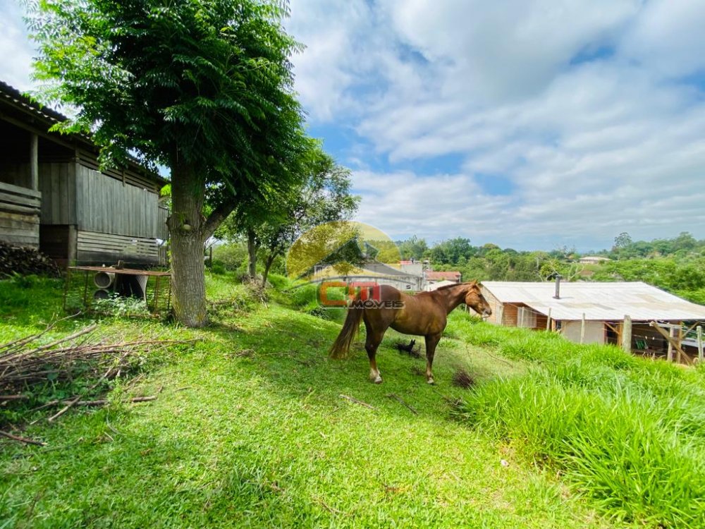 Sítio Califórnia Nova Santa Rita 