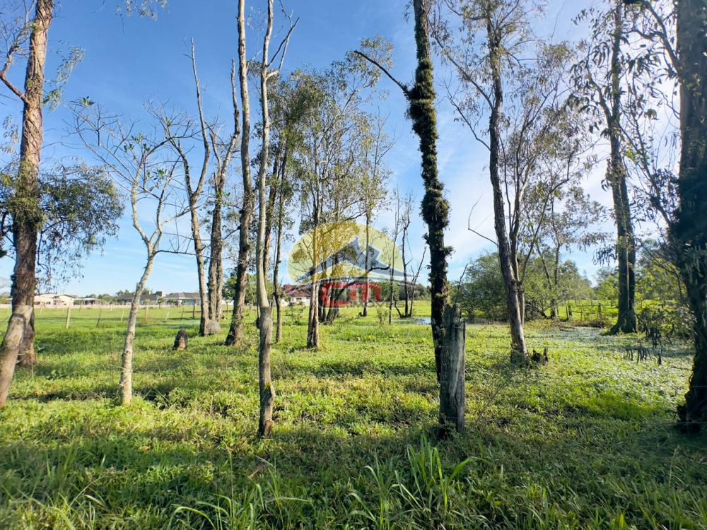 Terreno Califórnia Nova Santa Rita 