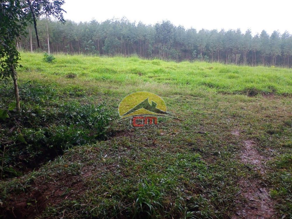 Sítio Benfica Triunfo 
