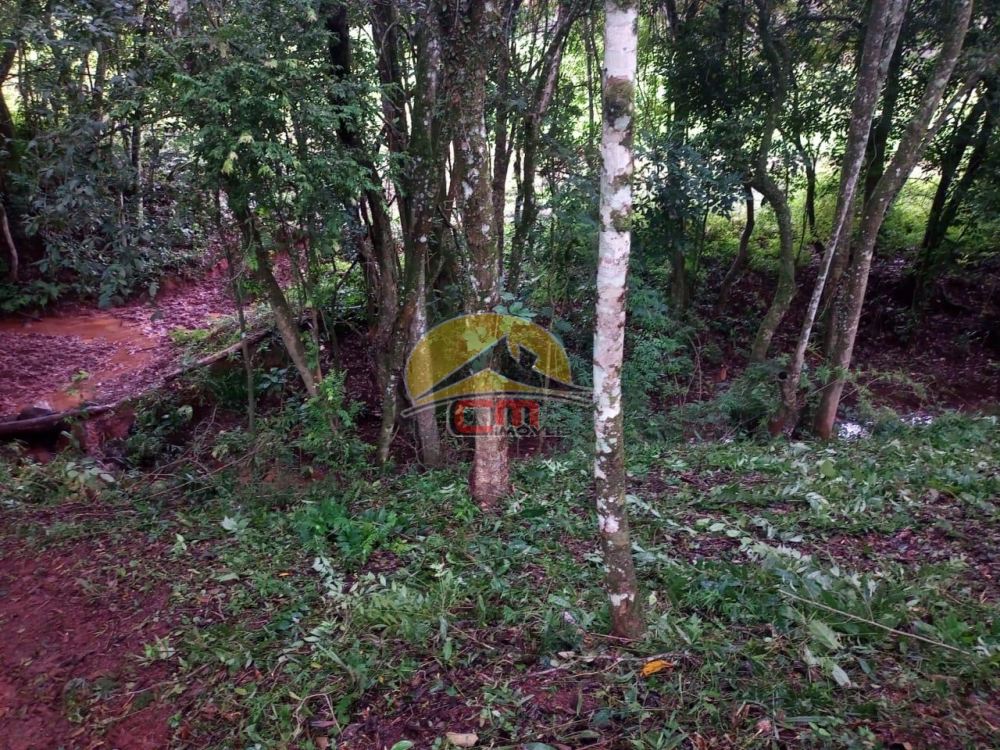 Sítio Benfica Triunfo 