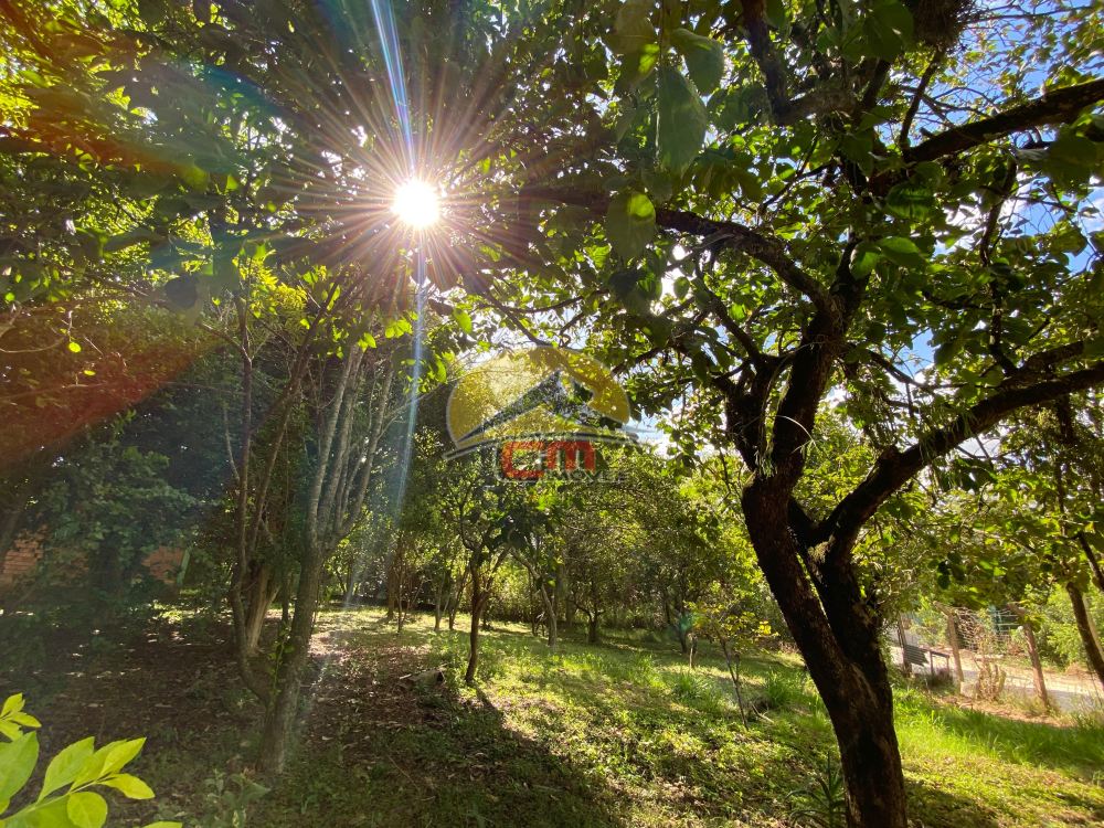 Sítio Califórnia Nova Santa Rita 