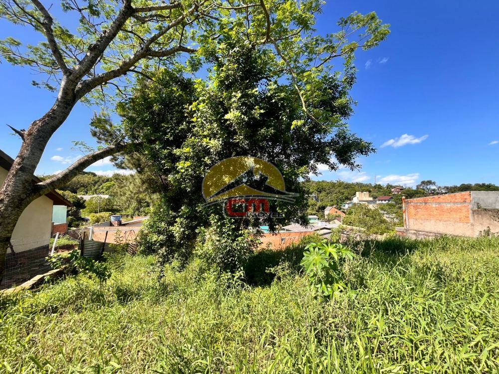 Terreno Centro Nova Santa Rita 