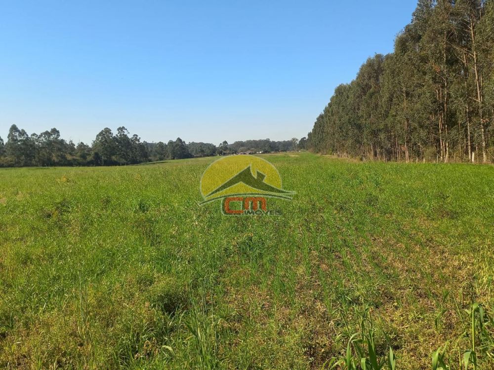 Sítio Sanga Funda Nova Santa Rita 