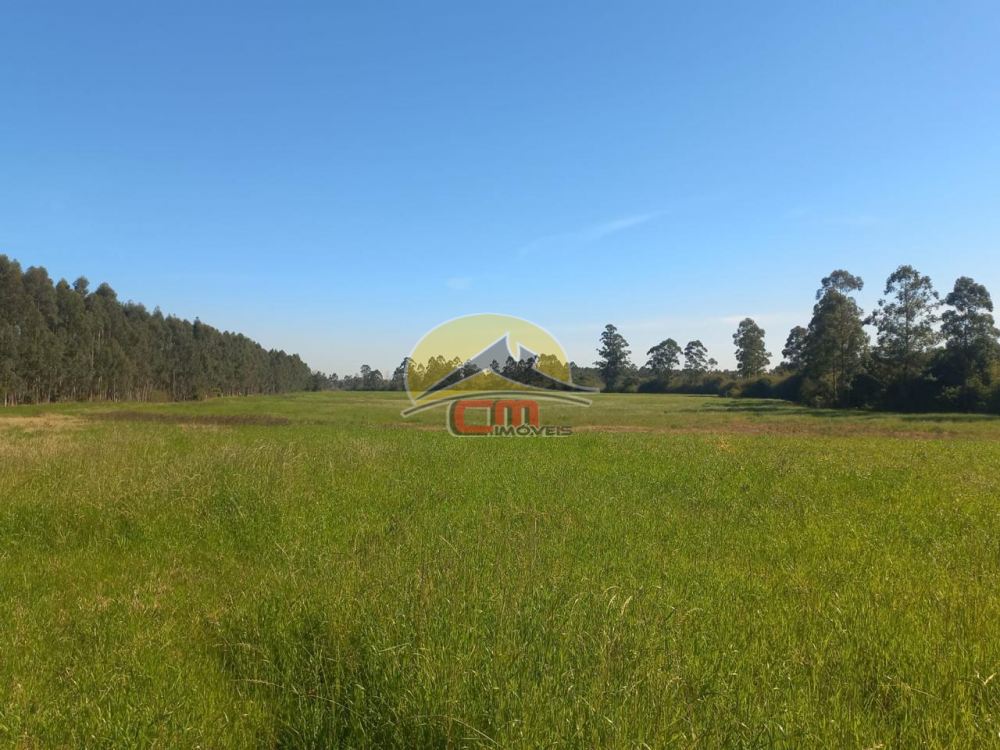 Sítio Sanga Funda Nova Santa Rita 